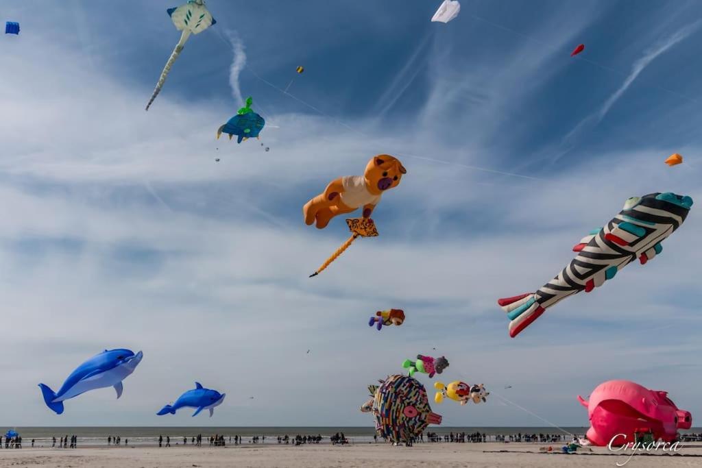 Du Phare Berck